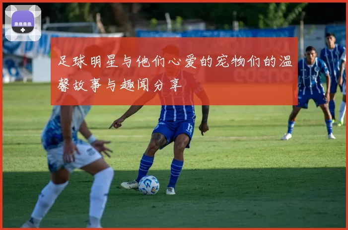 足球明星与他们心爱的宠物们的温馨故事与趣闻分享