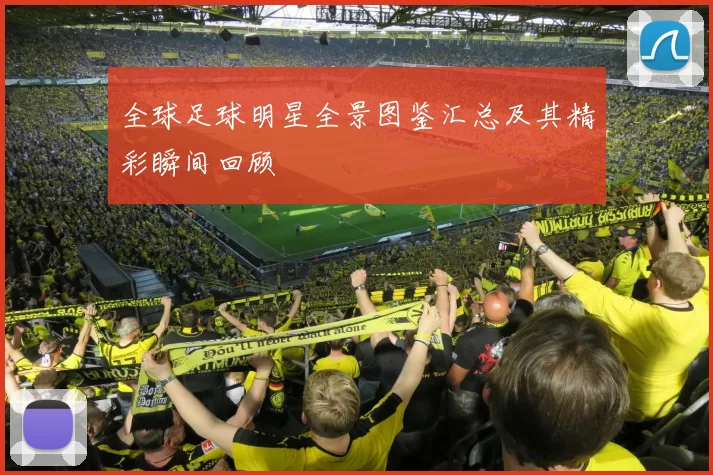 全球足球明星全景图鉴汇总及其精彩瞬间回顾