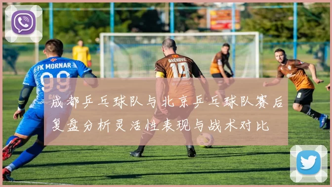 成都乒乓球队与北京乒乓球队赛后复盘分析灵活性表现与战术对比