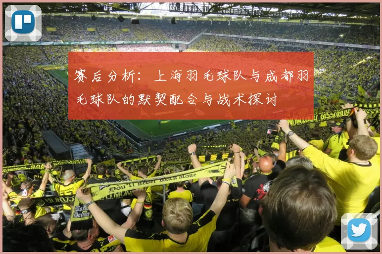 赛后分析：上海羽毛球队与成都羽毛球队的默契配合与战术探讨