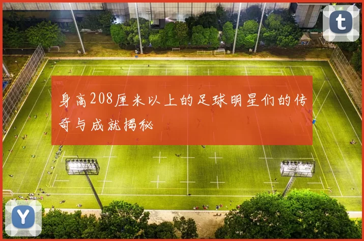 身高208厘米以上的足球明星们的传奇与成就揭秘
