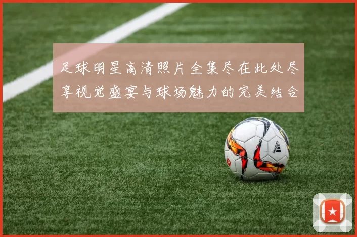 足球明星高清照片全集尽在此处尽享视觉盛宴与球场魅力的完美结合