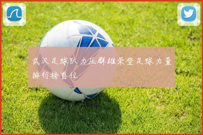 武汉足球队力压群雄荣登足球力量排行榜首位
