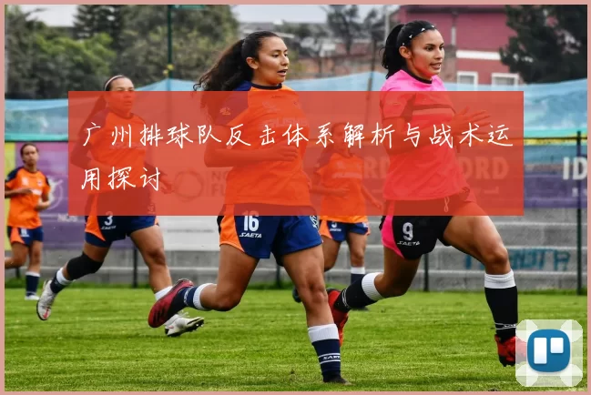 广州排球队反击体系解析与战术运用探讨