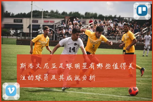 斯洛文尼亚足球明星有哪些值得关注的球员及其成就分析