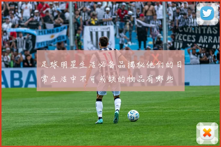 足球明星生活必备品揭秘他们的日常生活中不可或缺的物品有哪些