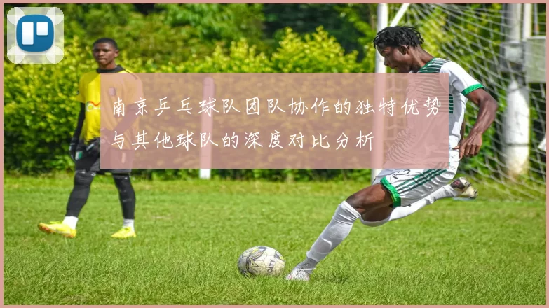 南京乒乓球队团队协作的独特优势与其他球队的深度对比分析
