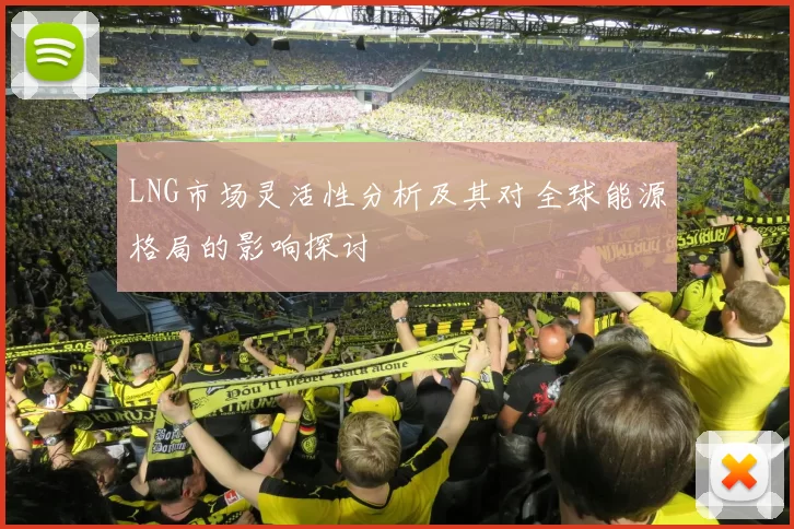 LNG市场灵活性分析及其对全球能源格局的影响探讨