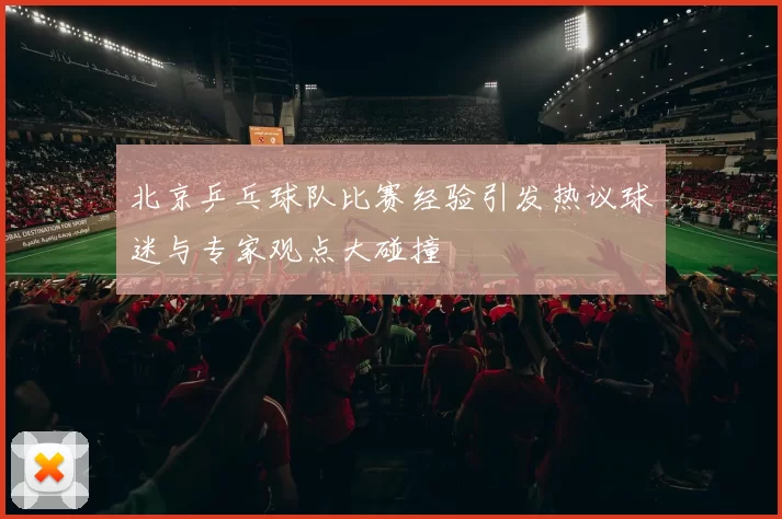 北京乒乓球队比赛经验引发热议球迷与专家观点大碰撞
