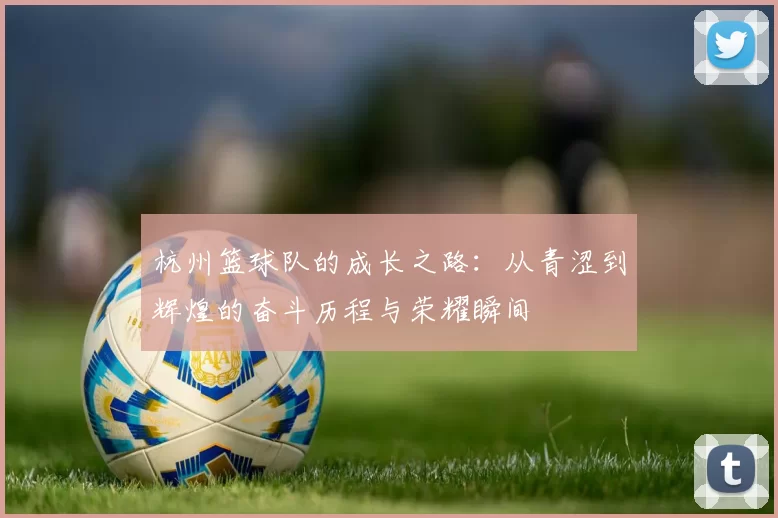 杭州篮球队的成长之路：从青涩到辉煌的奋斗历程与荣耀瞬间