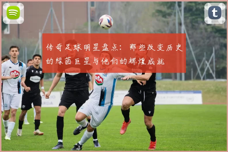 传奇足球明星盘点：那些改变历史的绿茵巨星与他们的辉煌成就