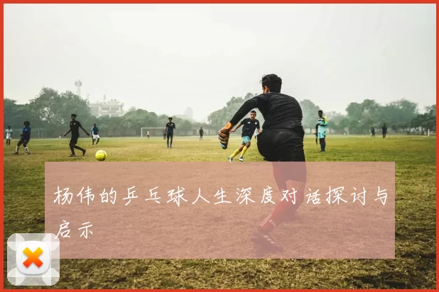 杨伟的乒乓球人生深度对话探讨与启示