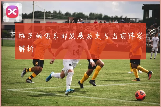 维罗纳俱乐部发展历史与当前阵容解析