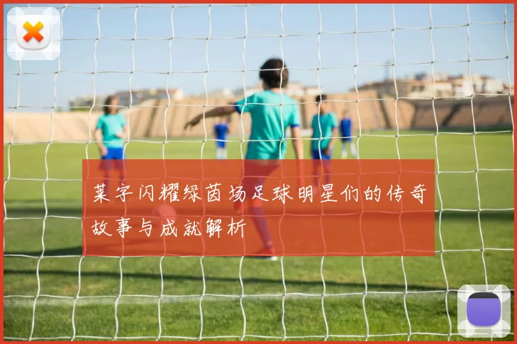 莱字闪耀绿茵场足球明星们的传奇故事与成就解析