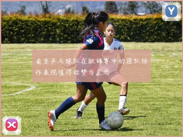 南京乒乓球队在欧锦赛中的团队协作表现值得称赞与反思