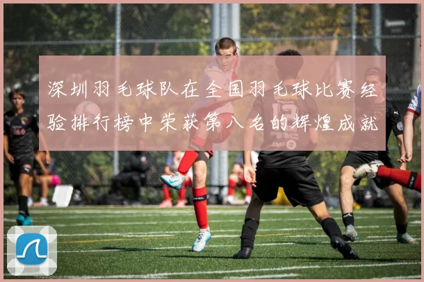 深圳羽毛球队在全国羽毛球比赛经验排行榜中荣获第八名的辉煌成就