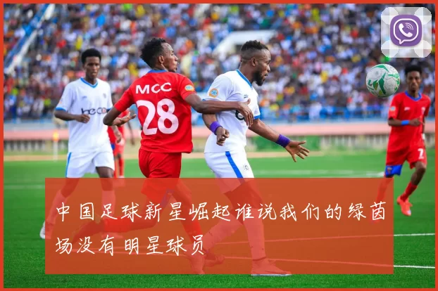 中国足球新星崛起谁说我们的绿茵场没有明星球员