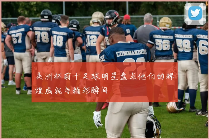 美洲杯前十足球明星盘点他们的辉煌成就与精彩瞬间