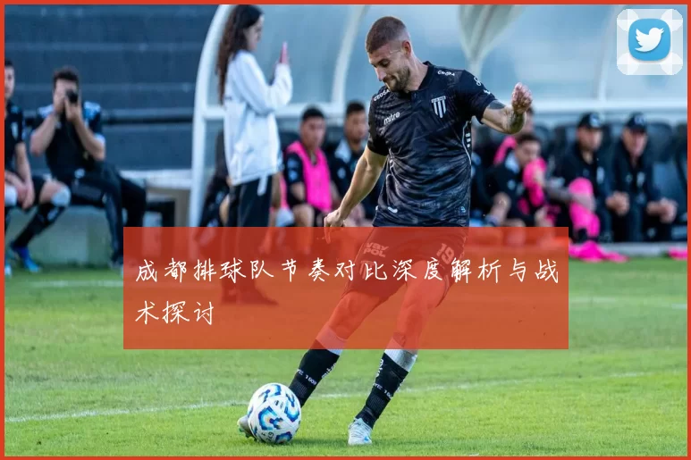 成都排球队节奏对比深度解析与战术探讨