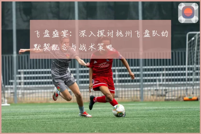 飞盘盛宴：深入探讨杭州飞盘队的默契配合与战术策略