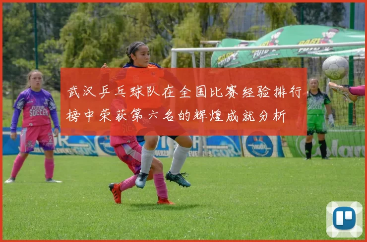 武汉乒乓球队在全国比赛经验排行榜中荣获第六名的辉煌成就分析