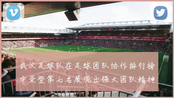 武汉足球队在足球团队协作排行榜中荣登第七名展现出强大团队精神和合作能力