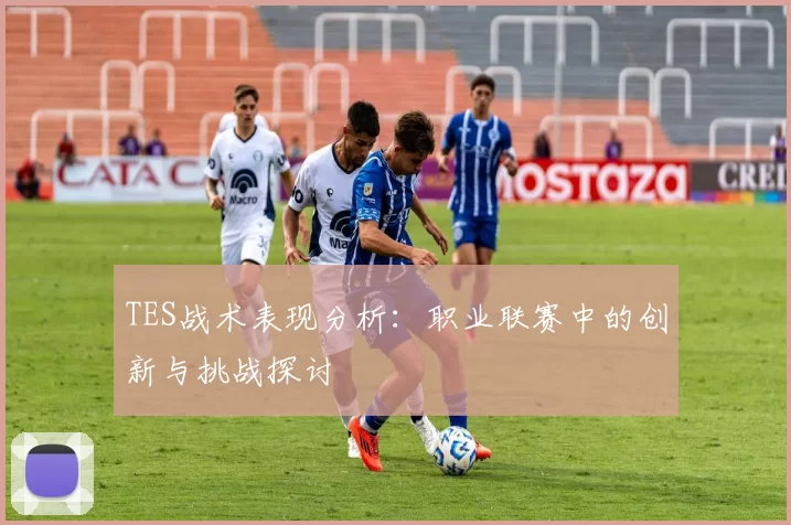 TES战术表现分析：职业联赛中的创新与挑战探讨