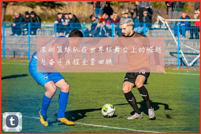 深圳篮球队在世界杯舞台上的崛起与奋斗历程全景回顾