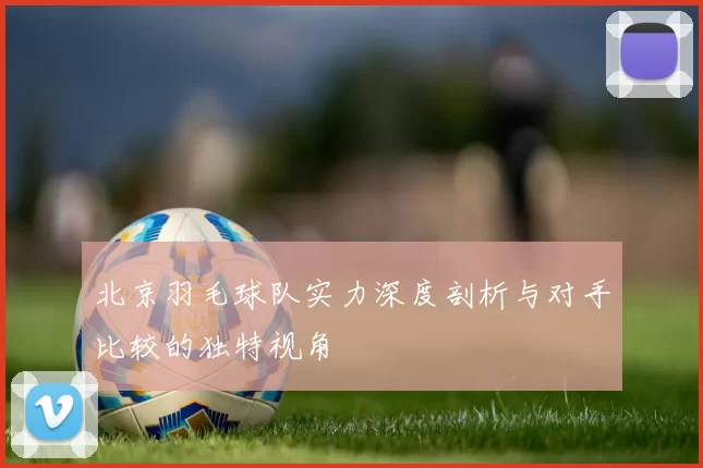 北京羽毛球队实力深度剖析与对手比较的独特视角