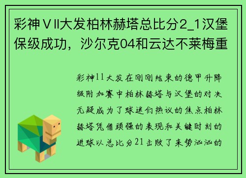 彩神Ⅴll大发柏林赫塔总比分2_1汉堡保级成功，沙尔克04和云达不莱梅重返德甲 - 副本